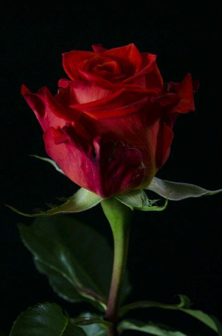 for my friend