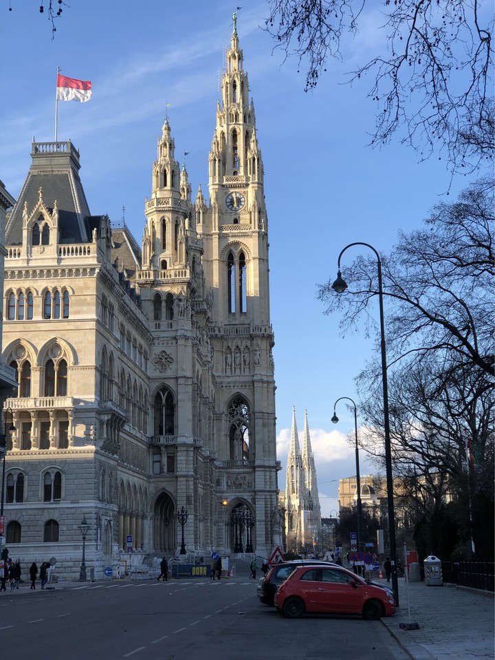 Viena