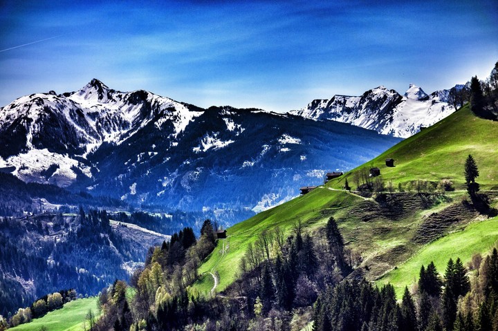 nature