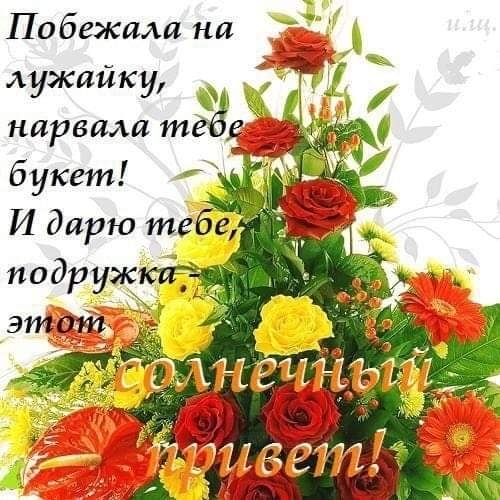 жизнь