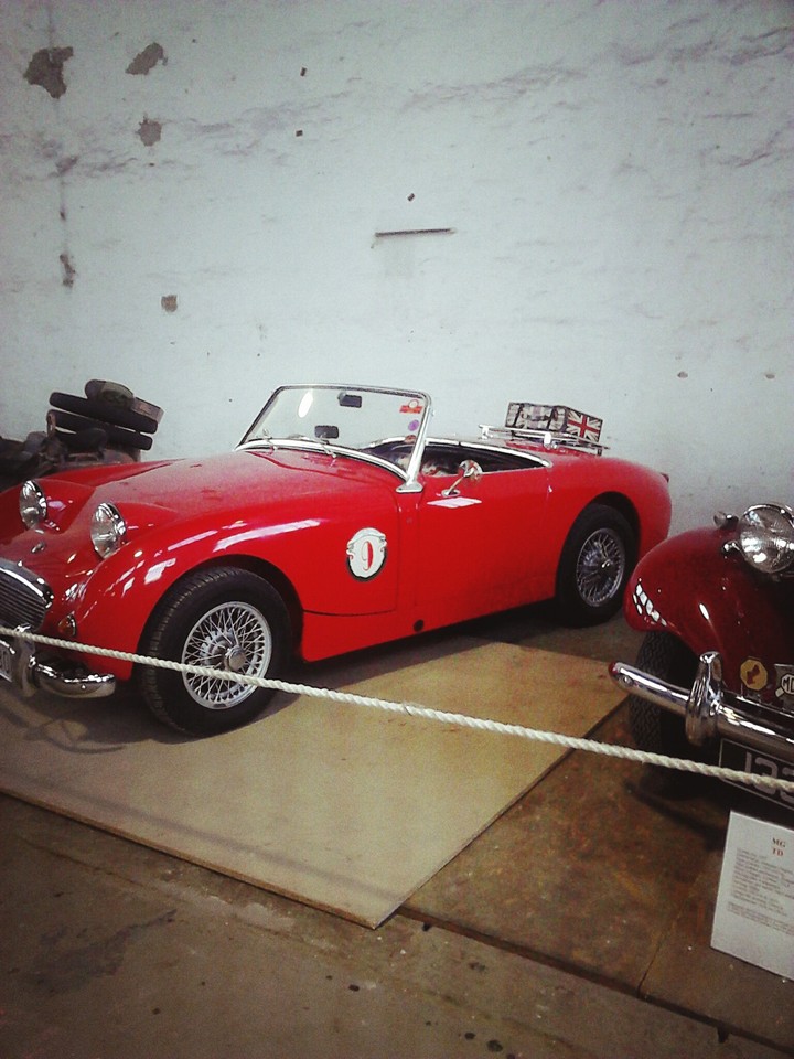 jaguar