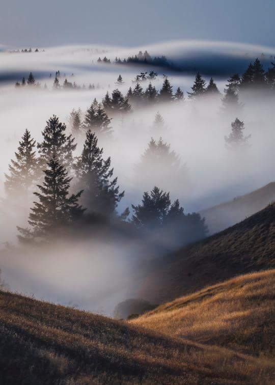 Romania