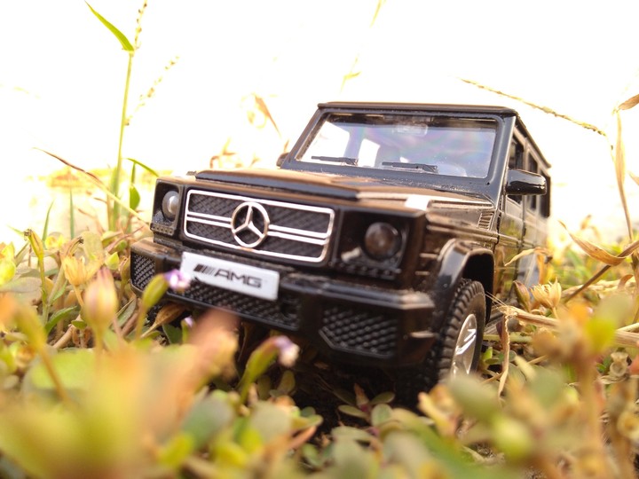 Scale Model