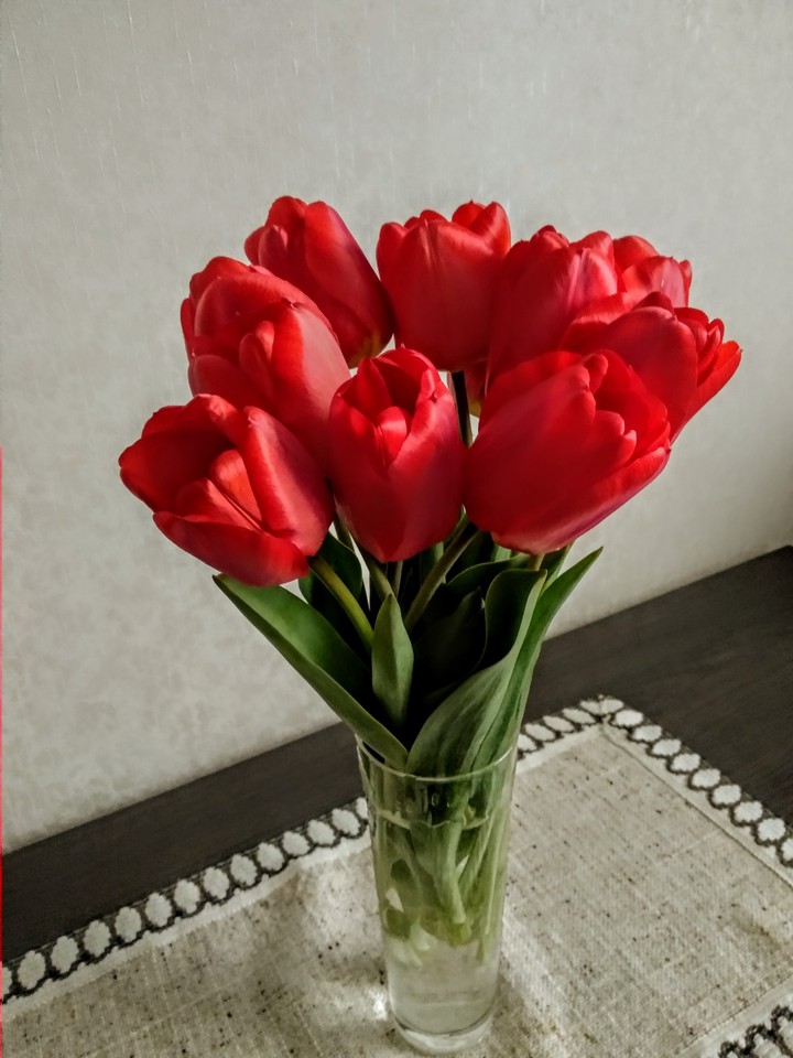 Tulips