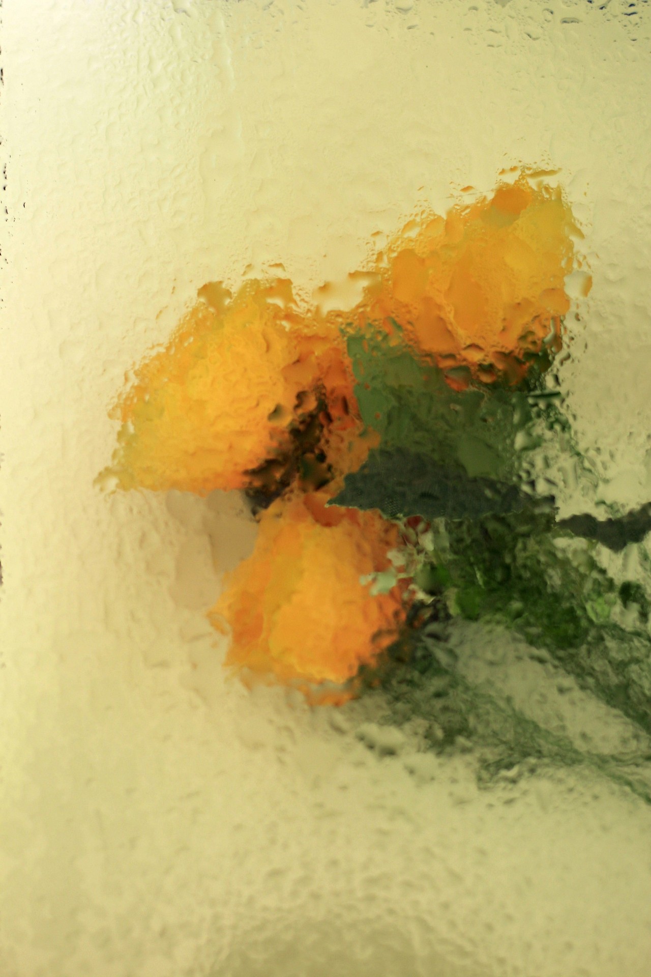 paint, Yellow wallpapers