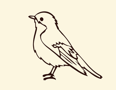 bird