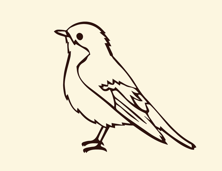 bird