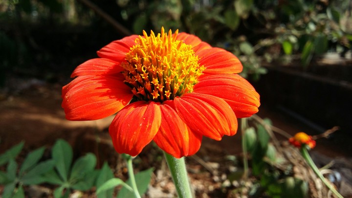 photography