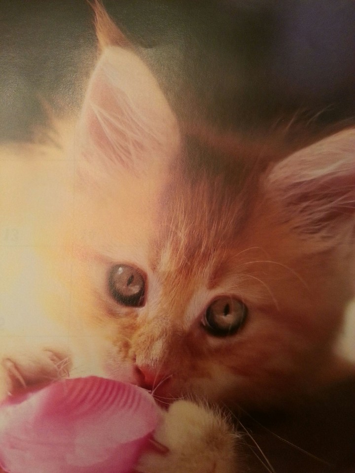 Im so cute...