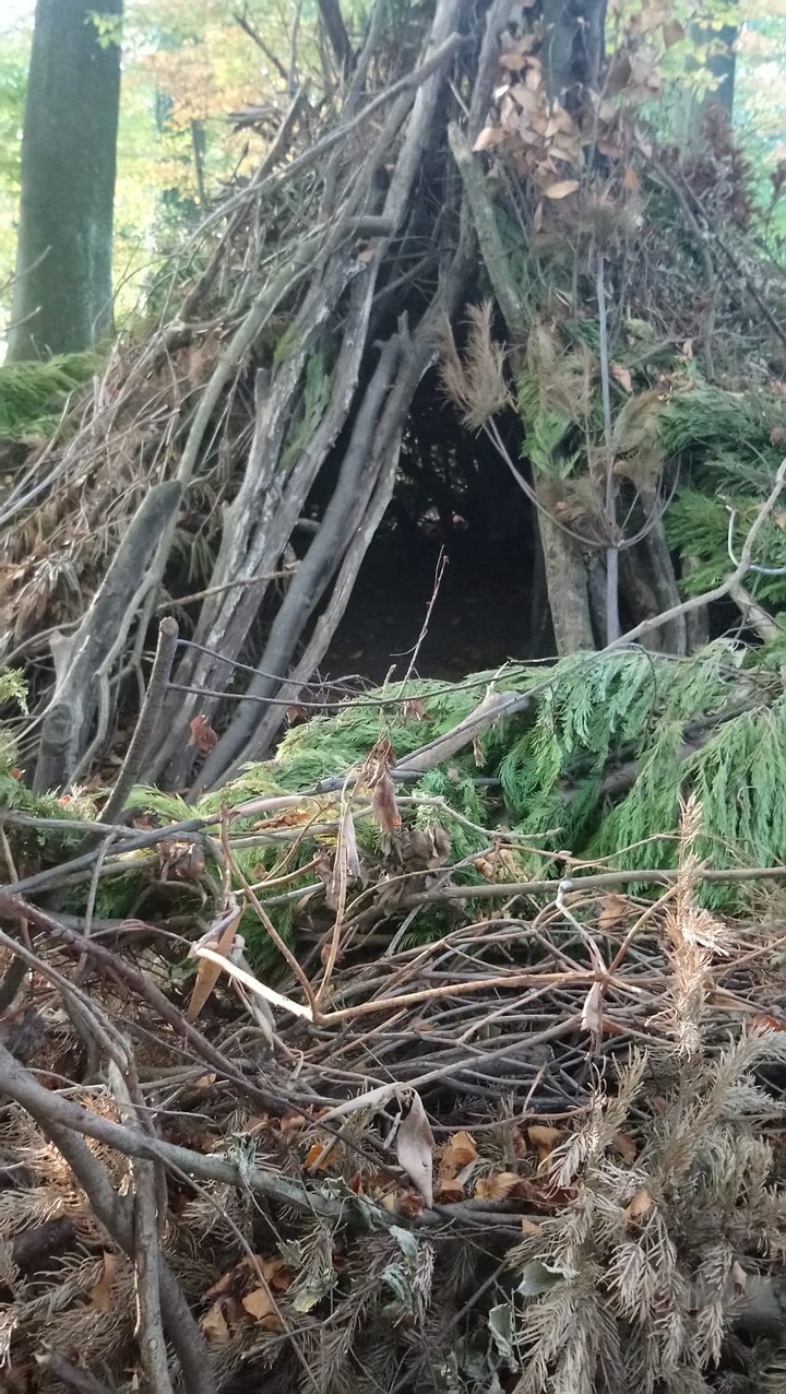 Versteck im Wald