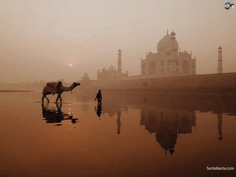 tapety morning, haze