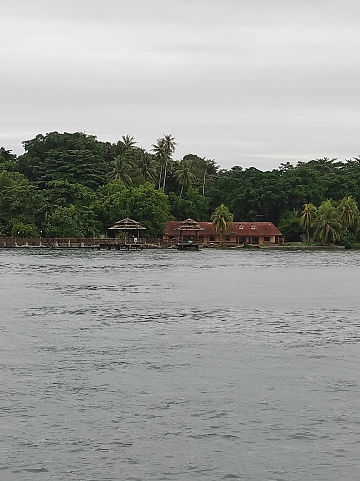 The Island