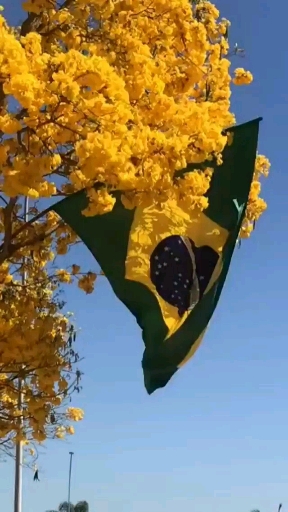 September 7th day of the independence of Brazil