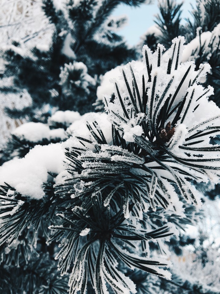 Winter in Russia
