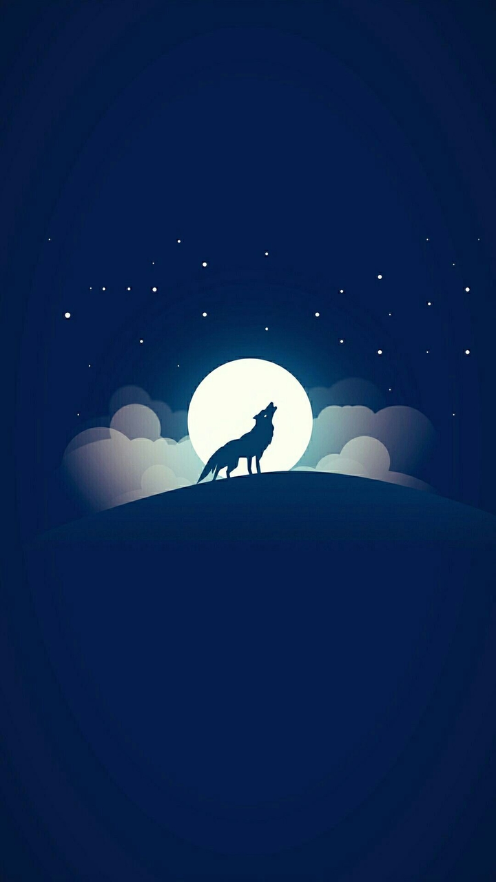 night.wolf