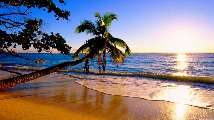 #sunset#beach