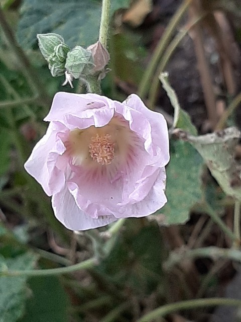 merveille du monde