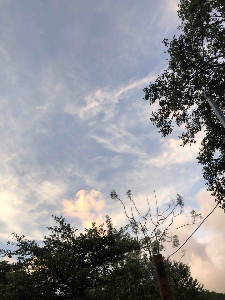 cielo