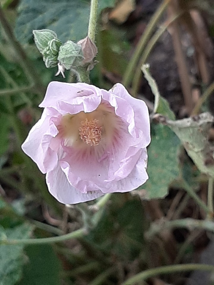 merveille du monde