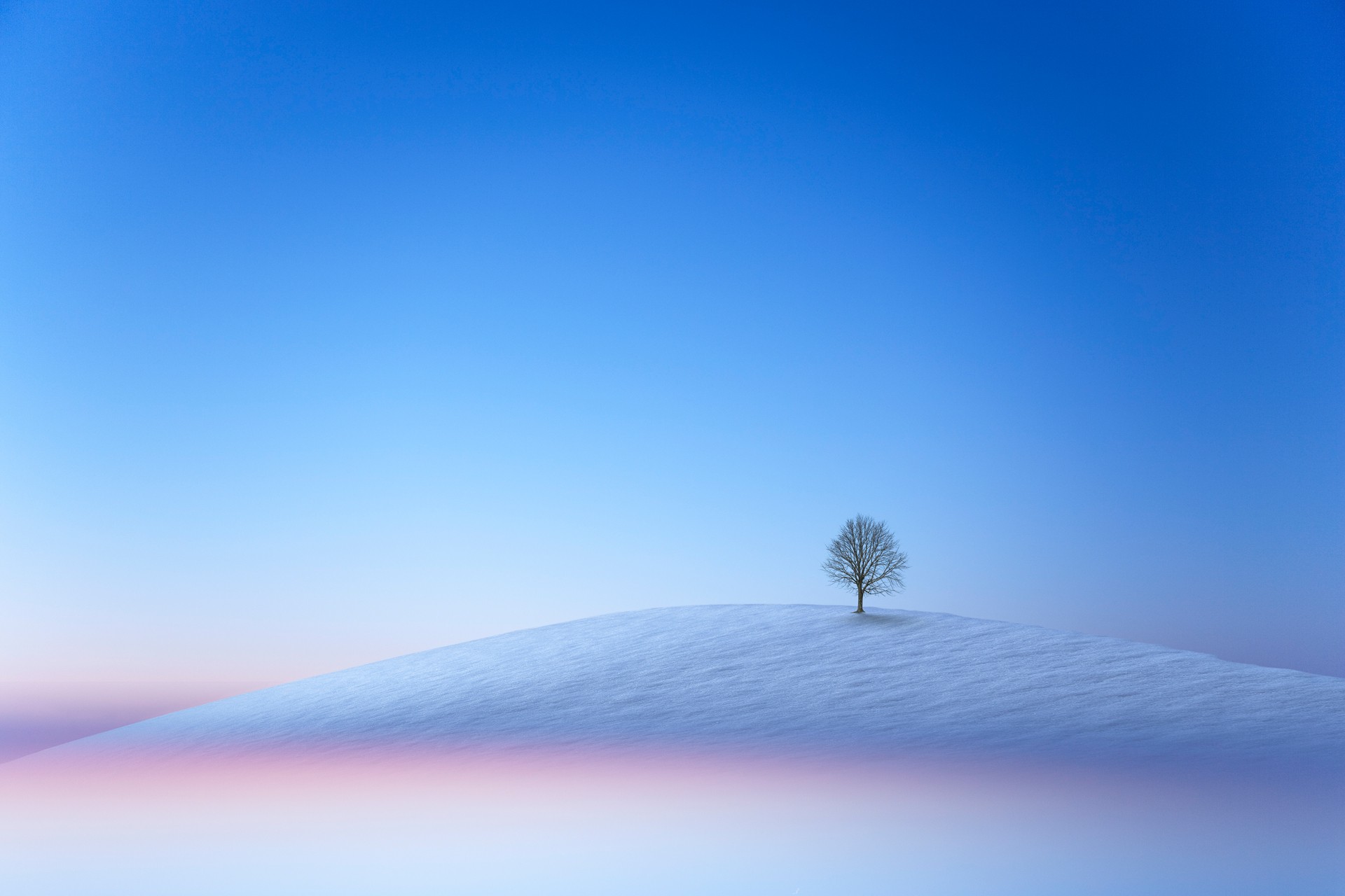 Hill and Tree