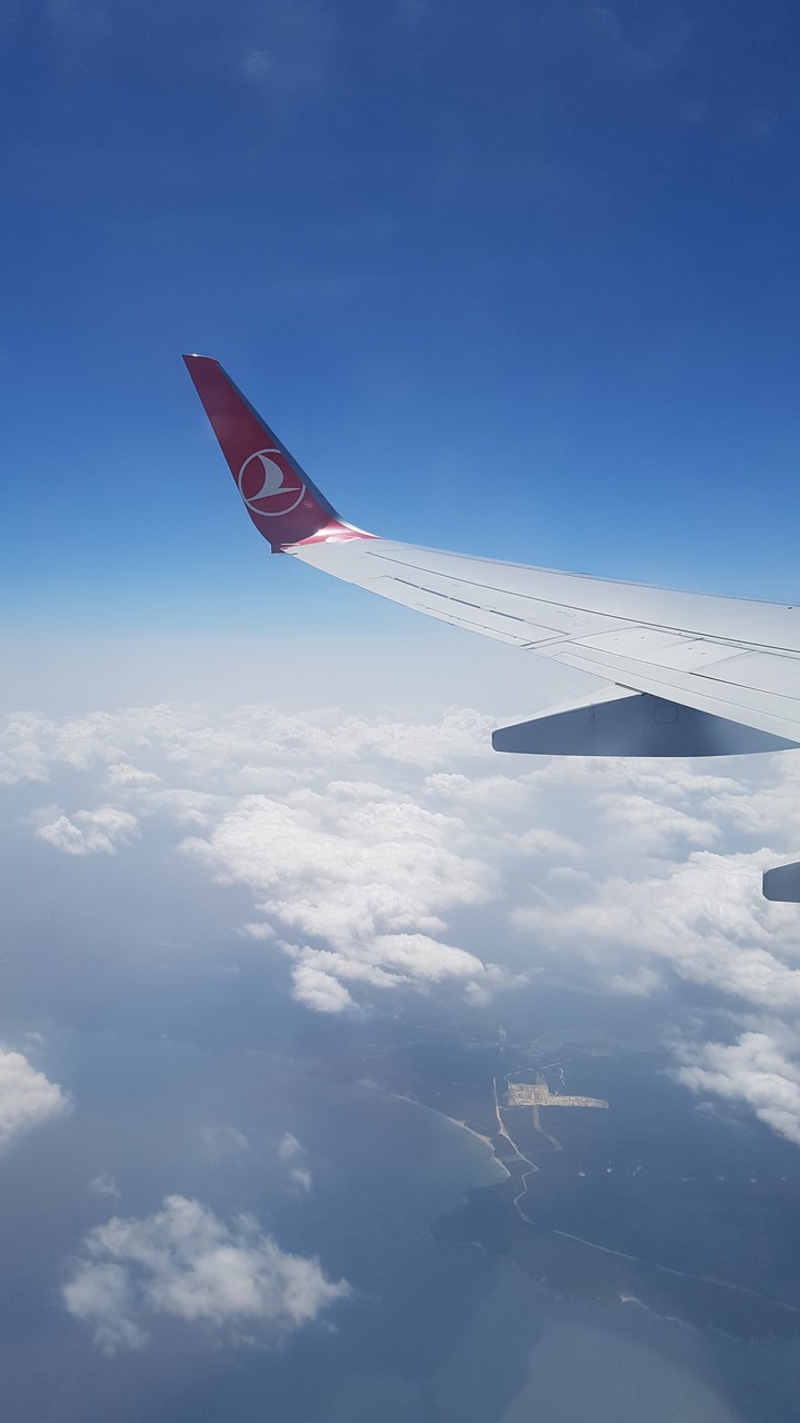 fly
