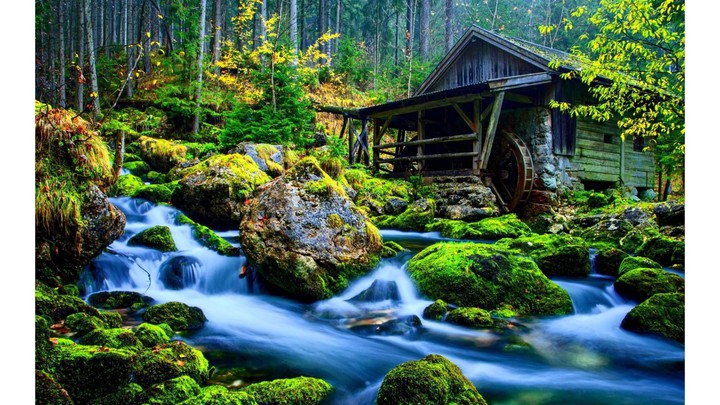 nature is beautiful