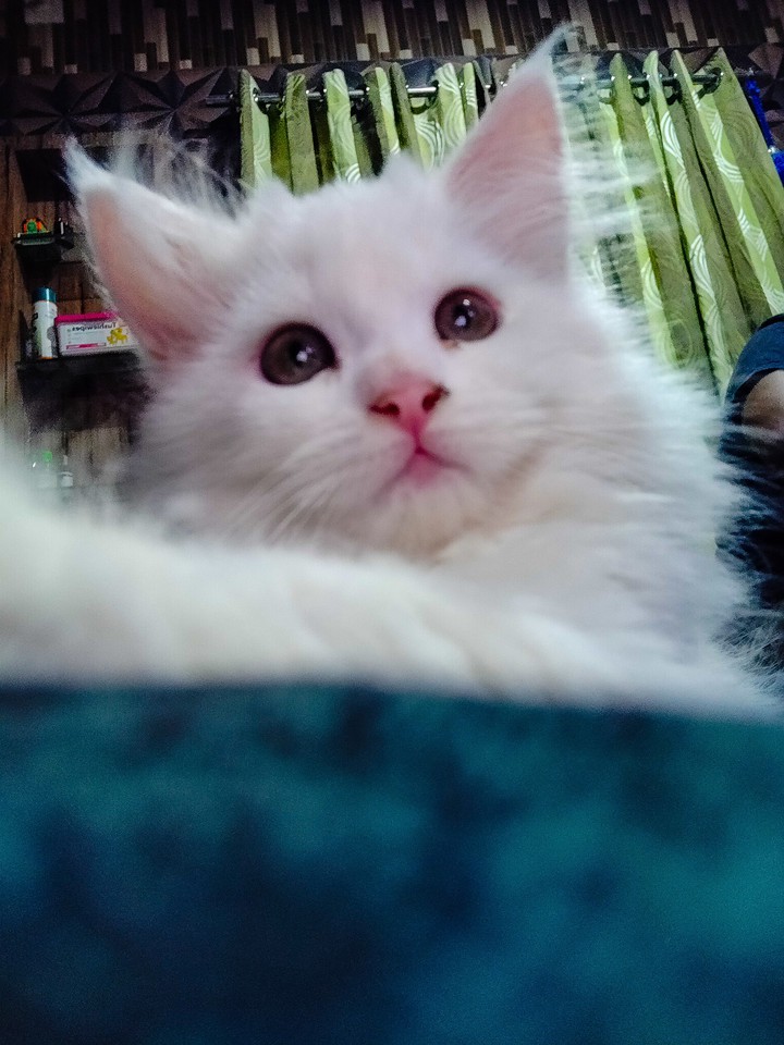 Zoe