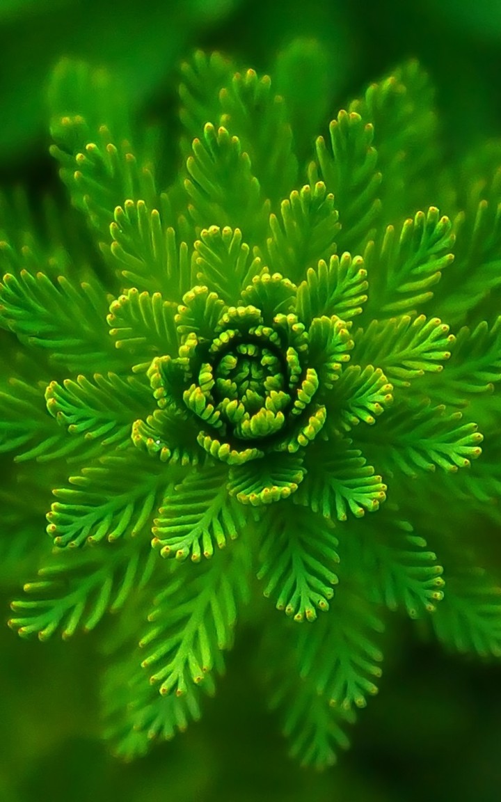 nature love