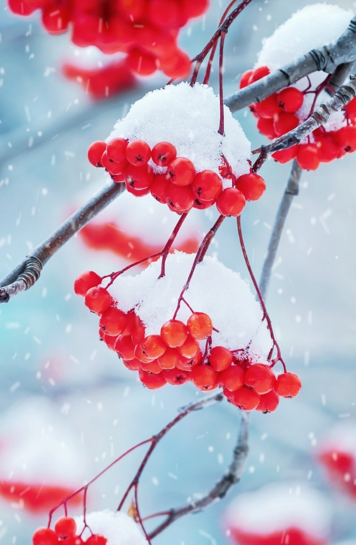 snow