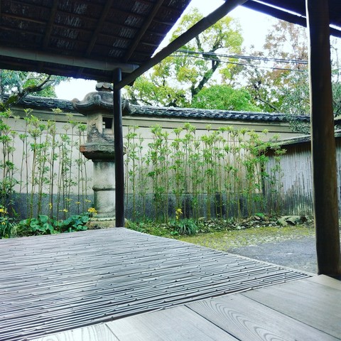 Japanese Garden