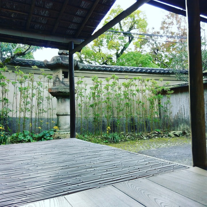 Japanese Garden