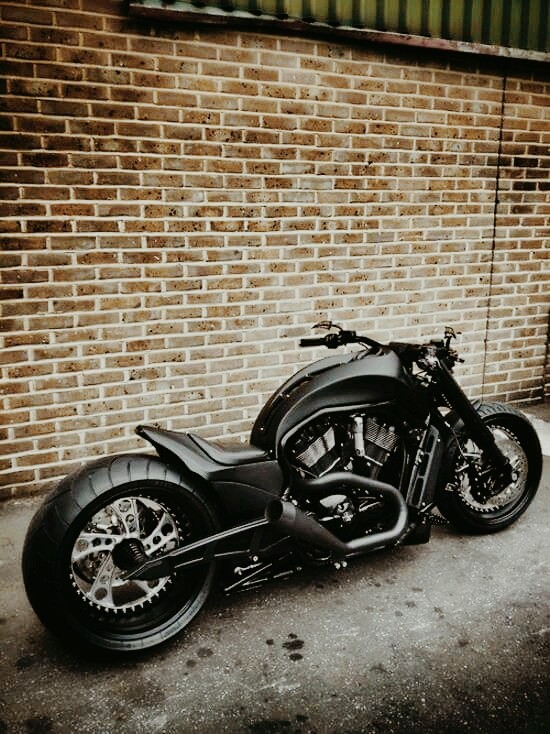 fat bike