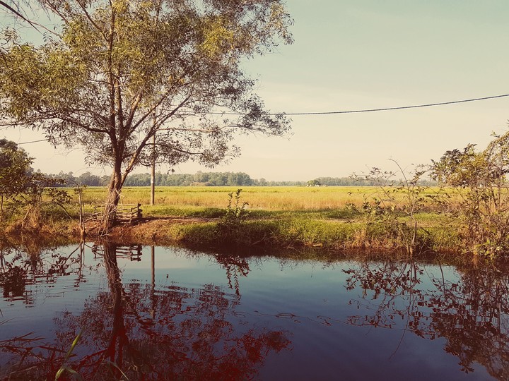 tuyệt vời