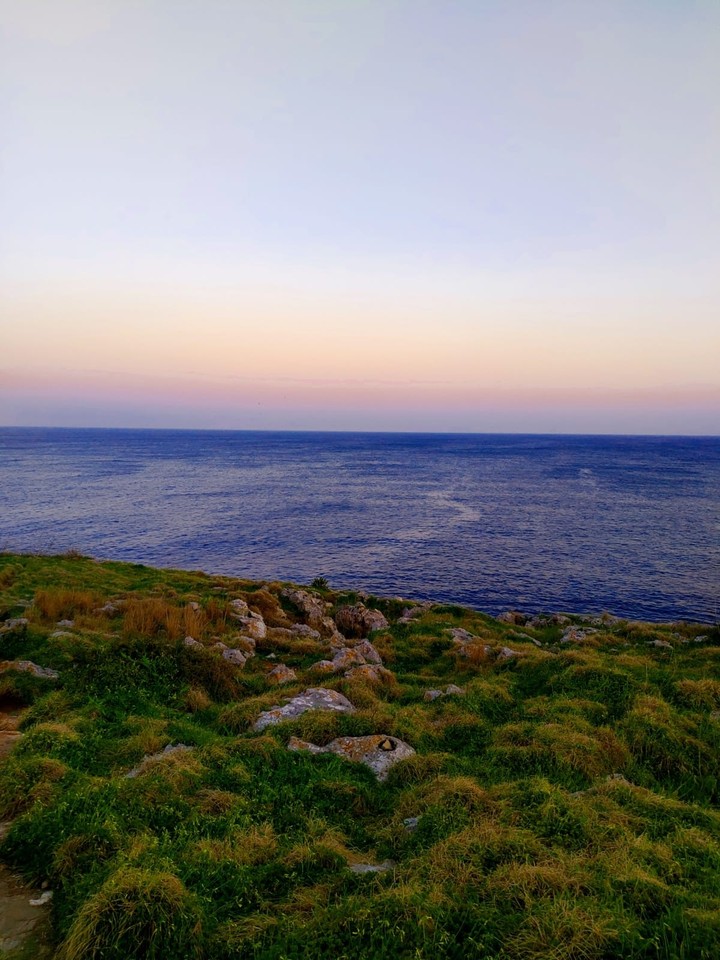 Mare