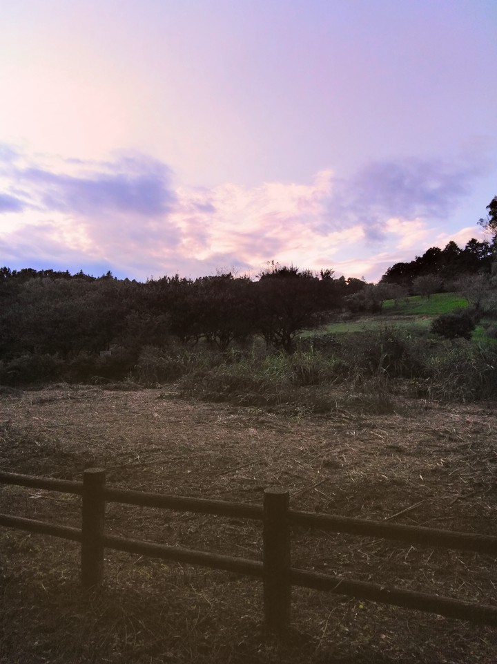 evening