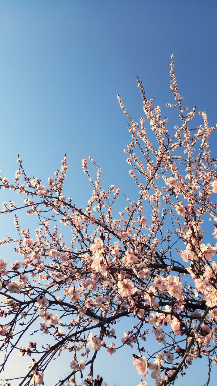 Spring in Ukraine