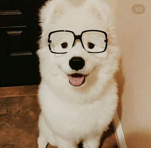 yeu thích di