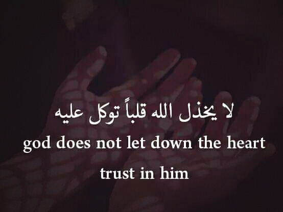 لا يخذل الله قلبا توكل علية