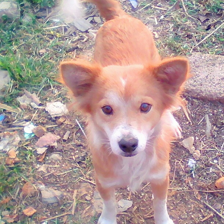 My lovely Nicole