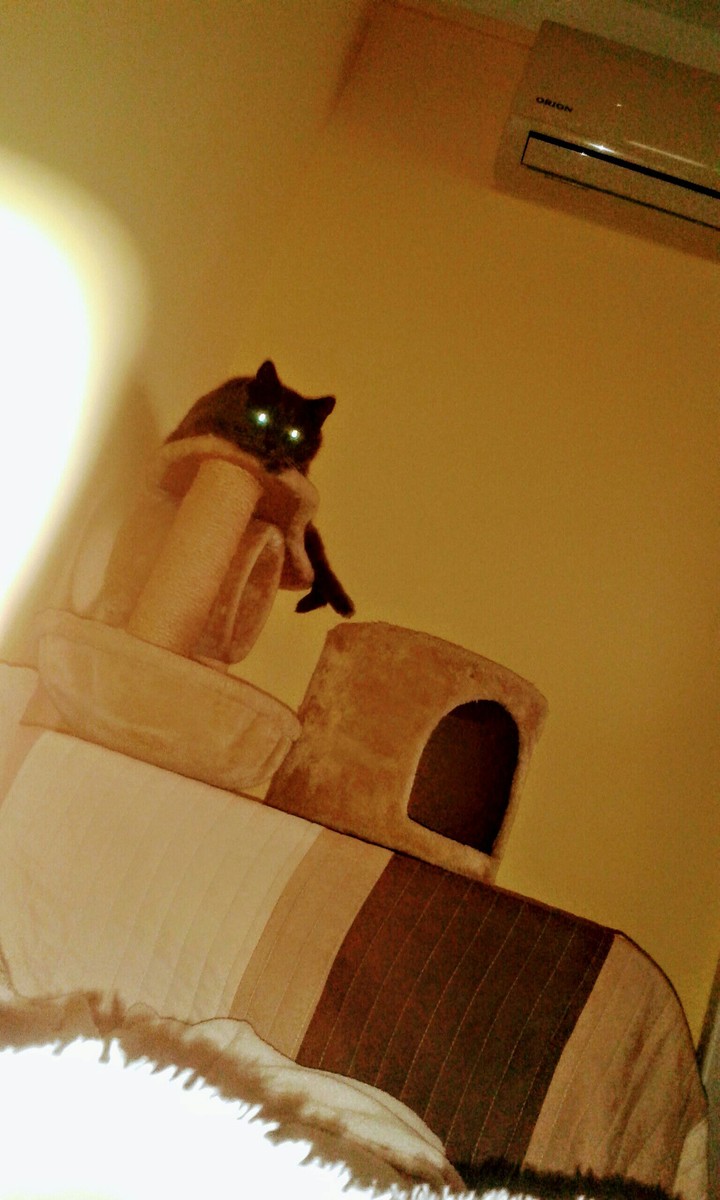 I'm watching you...