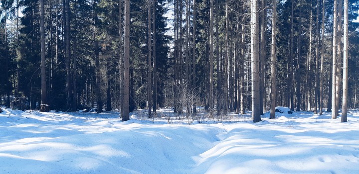 Lipno