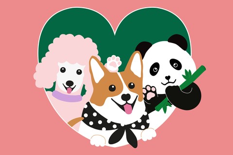 Animal Trio