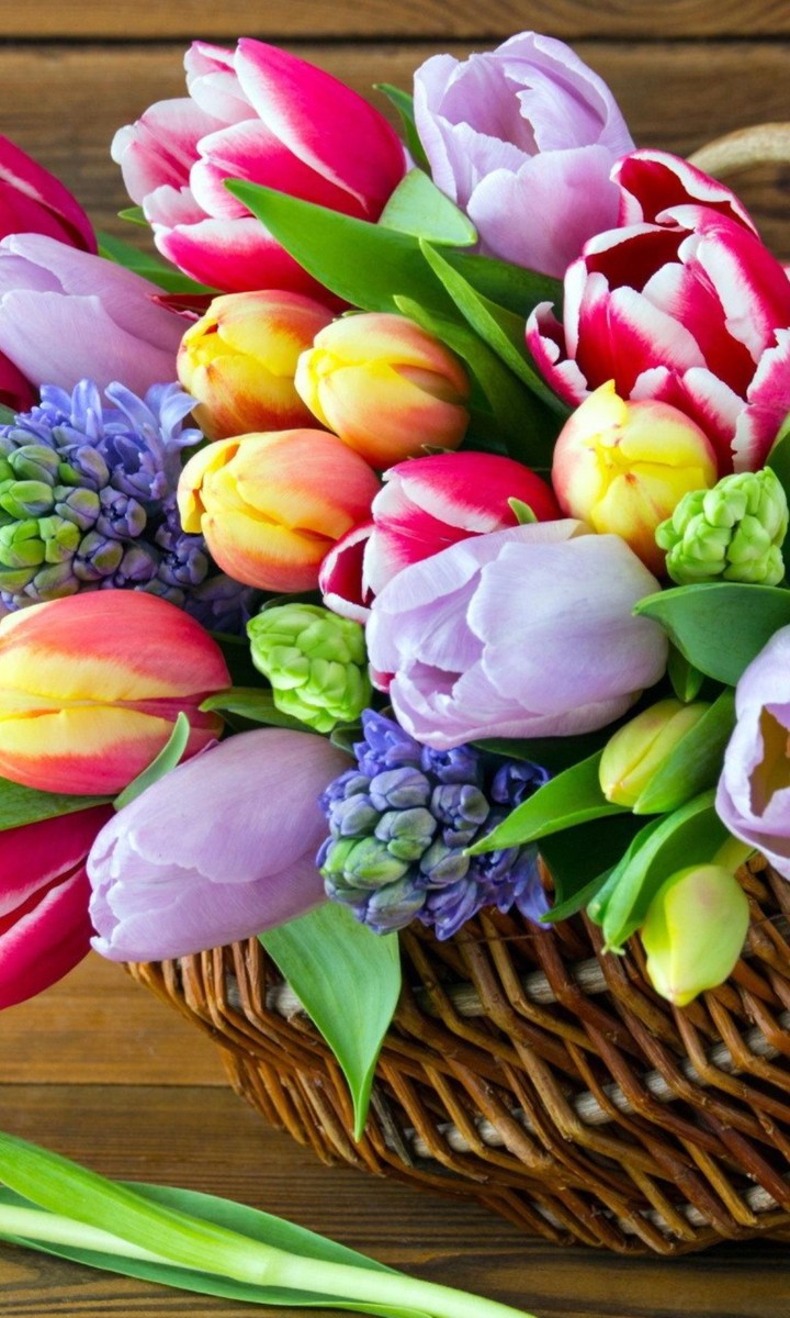 nature