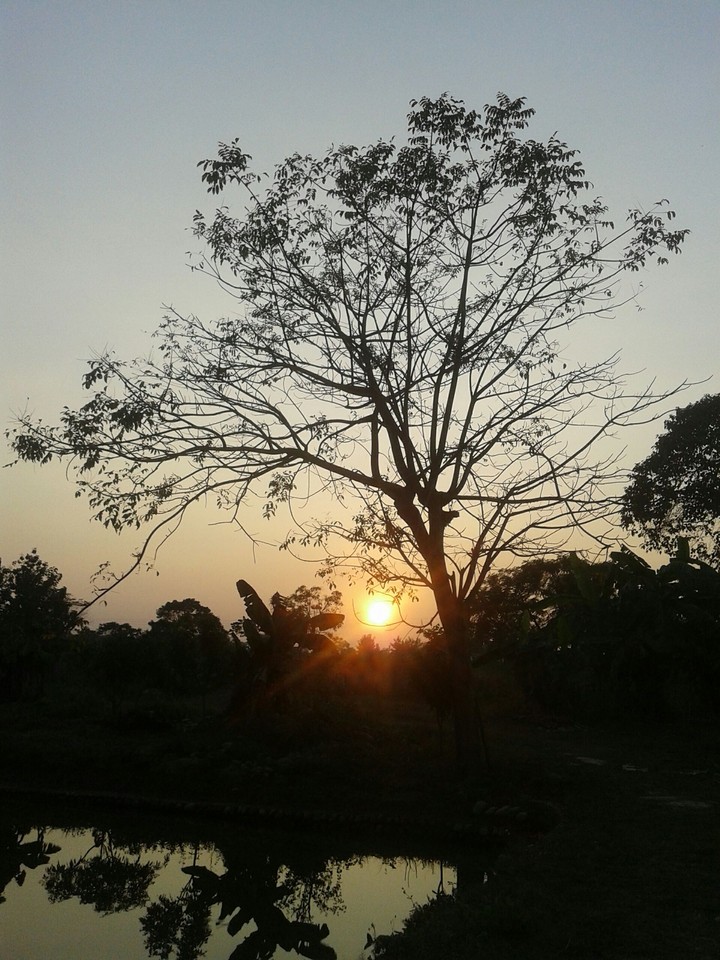 ☀ Sunset