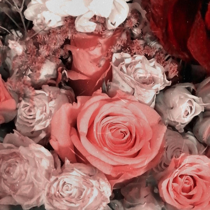 Roses for you!
