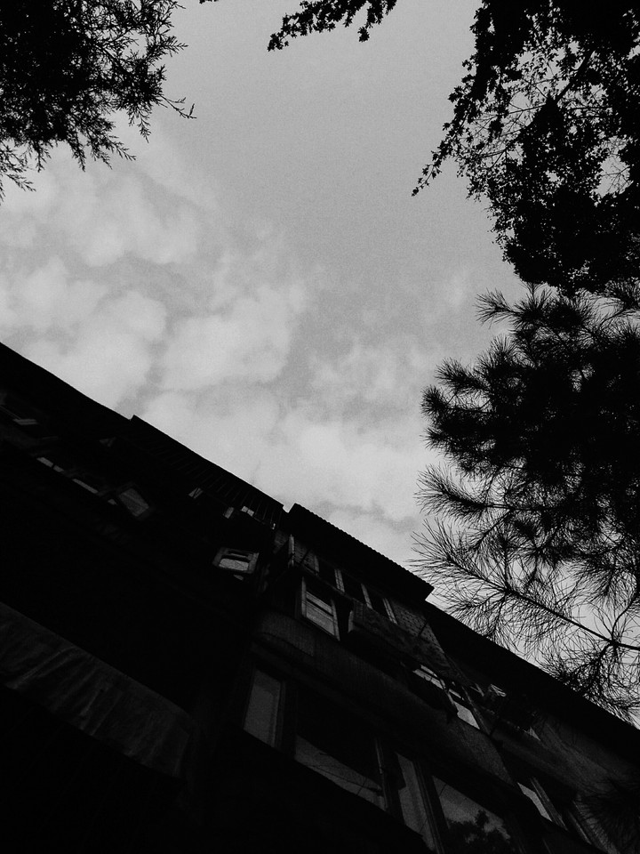 monochrome atmosphere  монохромная атмосфера