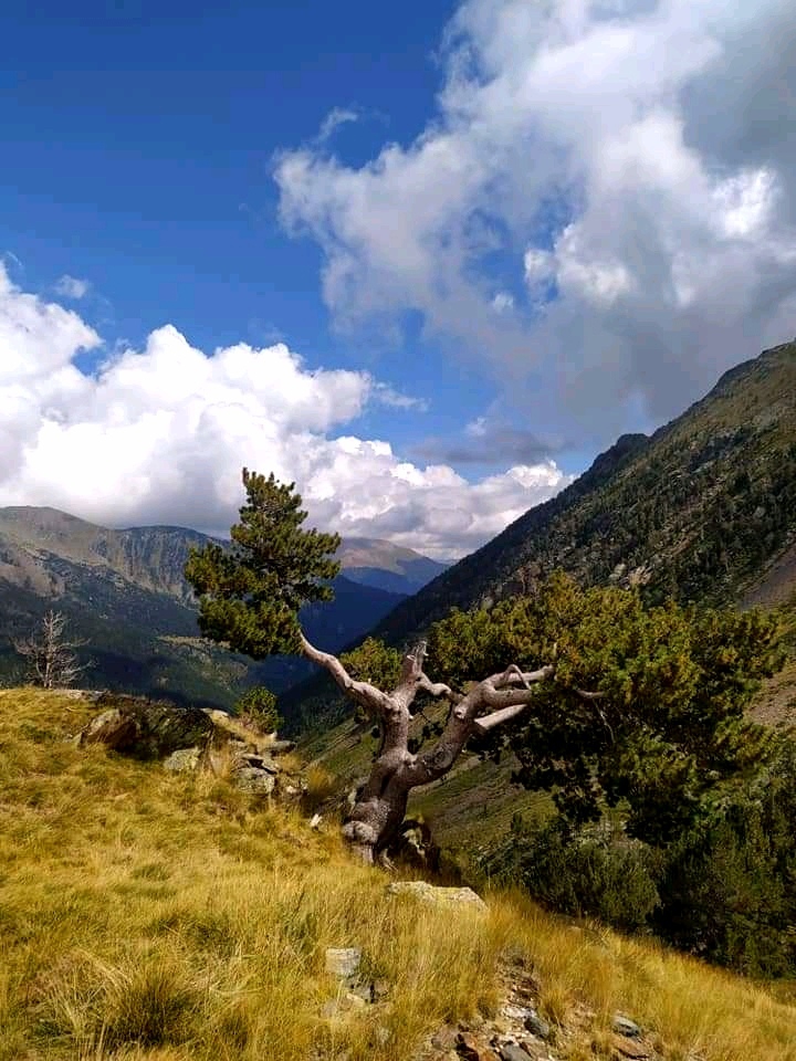 Perfect Landscape