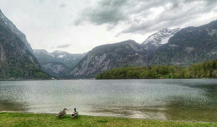 love in the Alps