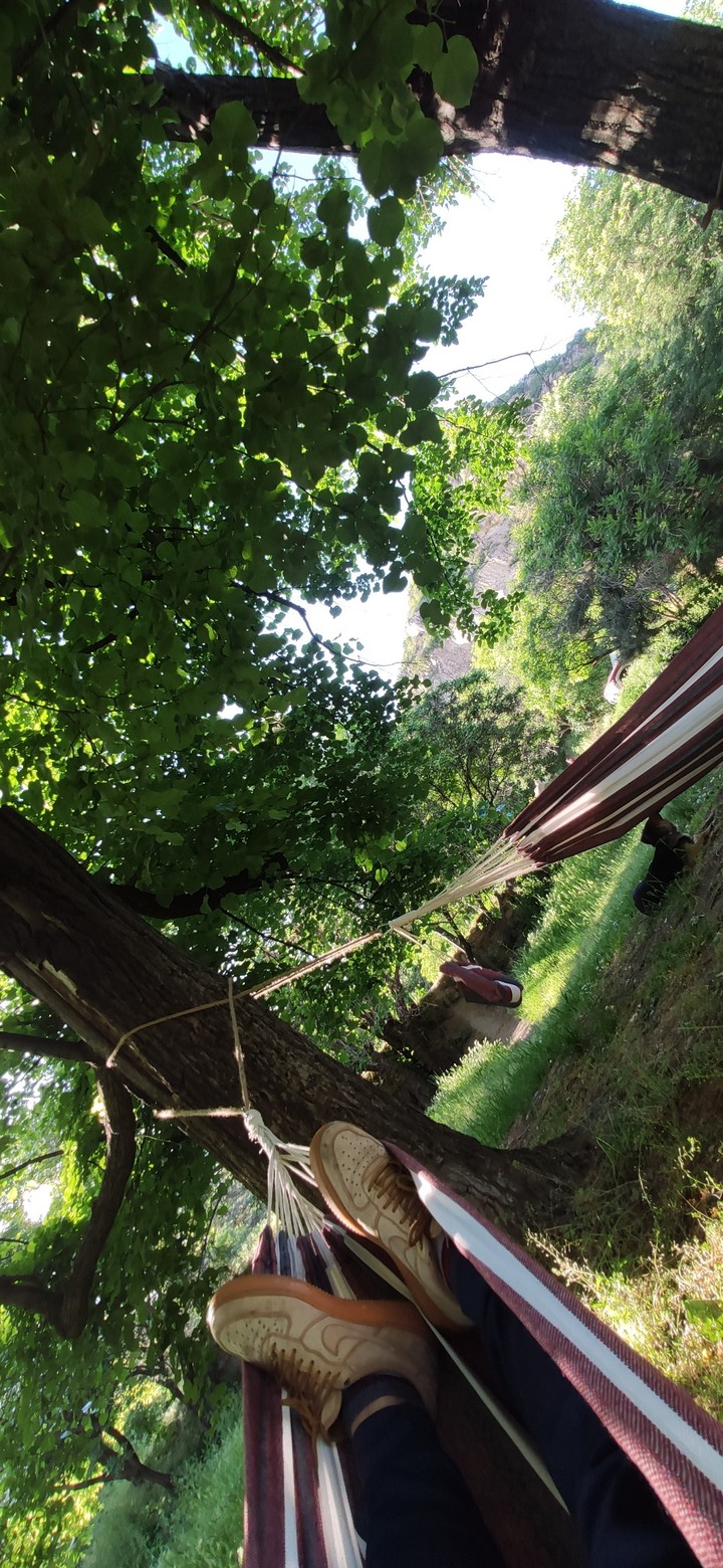 hammock chilling