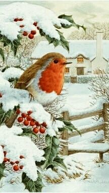 Rouge gorge sur une branche en hiver  !!!!